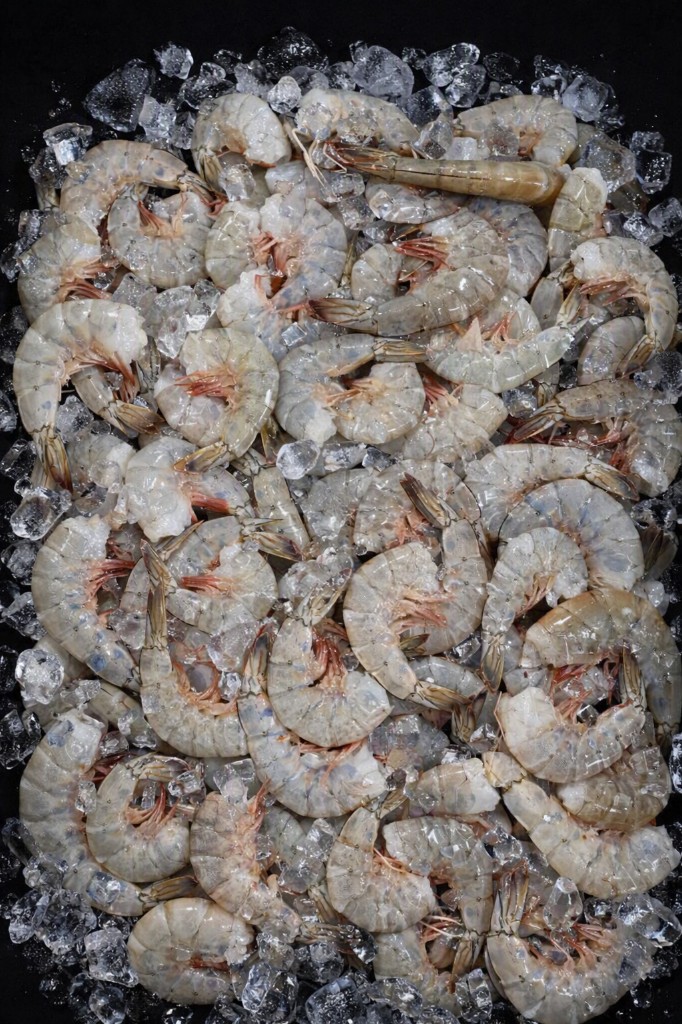 Langostino mezclado