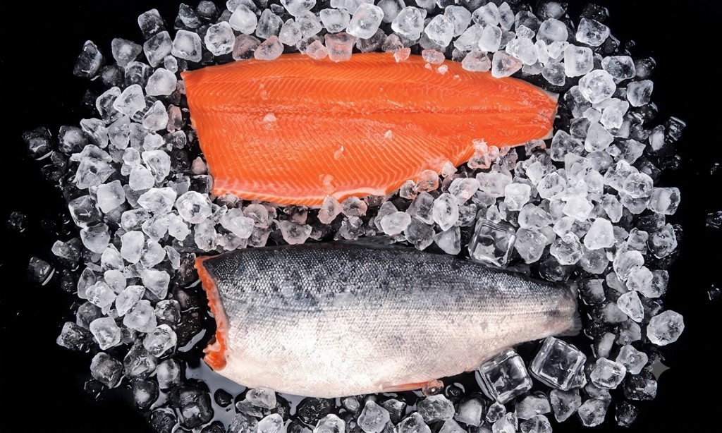 Filete de salmón coho