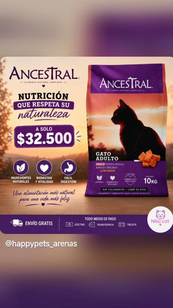 Ancestral gato adulto