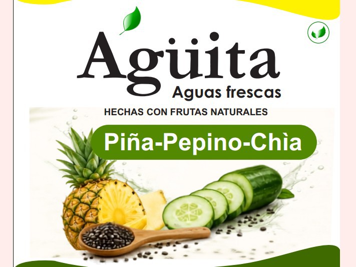 500 ml Piña Pepino Chia