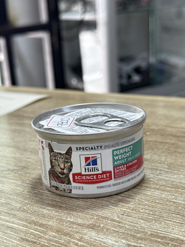 Hill's Science Diet lata para gato 82g