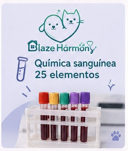 Química sanguínea 25 elementos