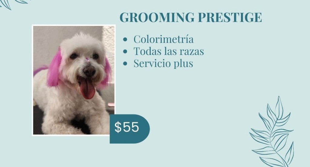 Grooming Prestige(colorimetría)