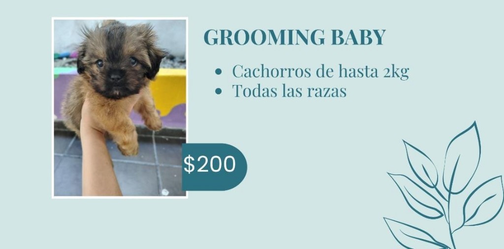 Grooming Baby(hasta 2kg)