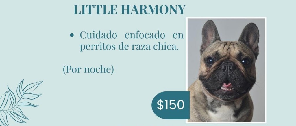 Little Harmony