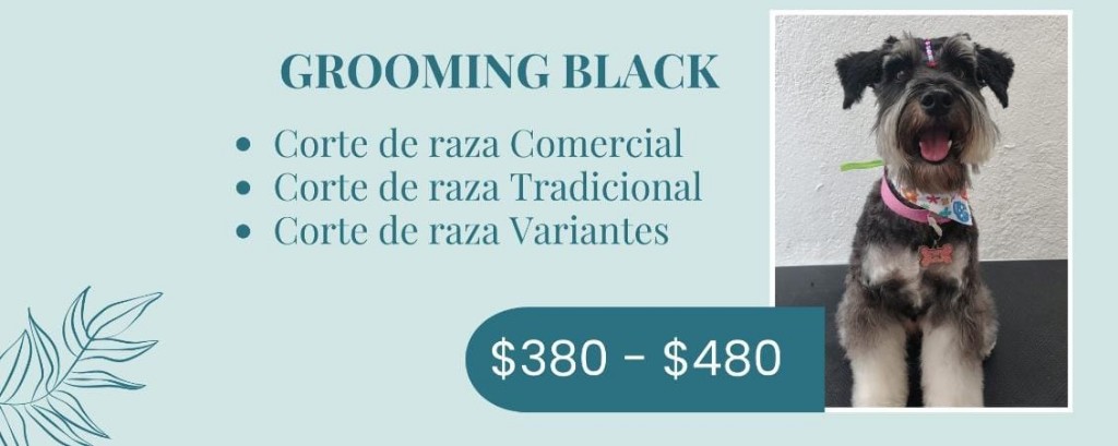 Grooming Black