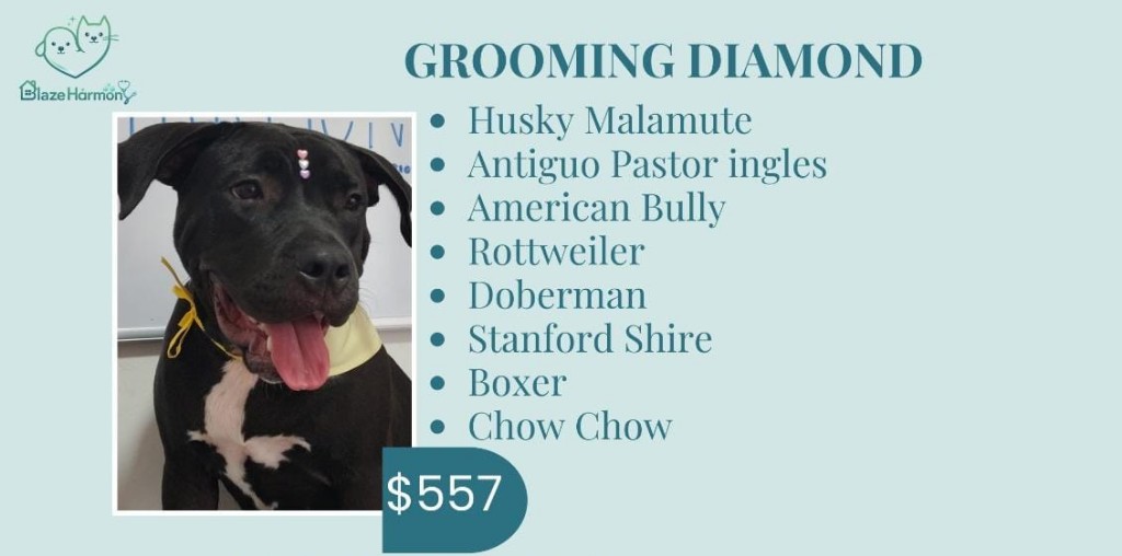 Grooming Diamond