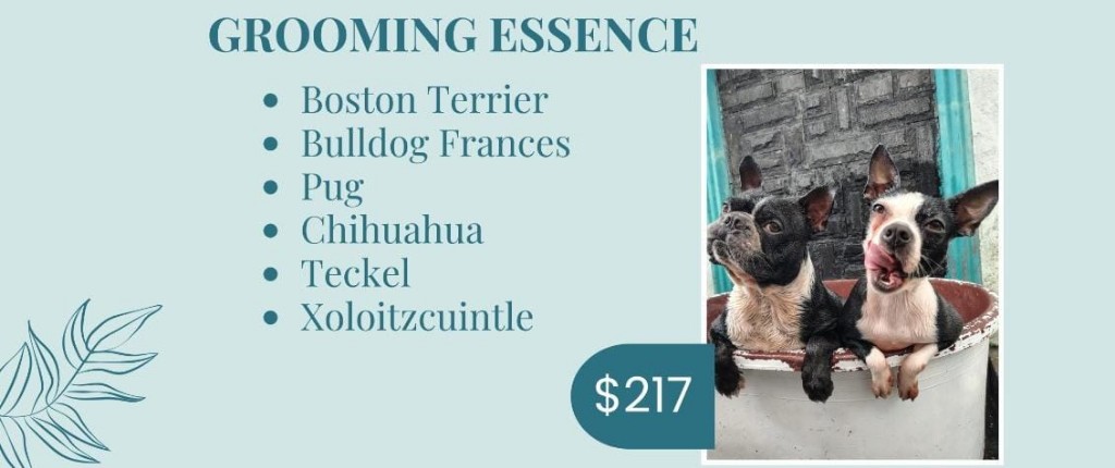 Grooming essence (pelo corto)