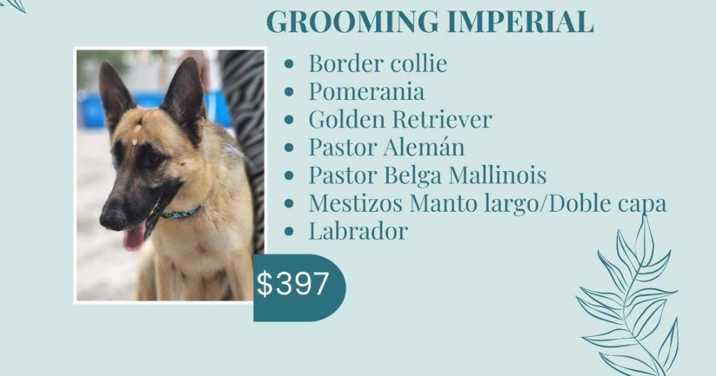 Grooming imperial