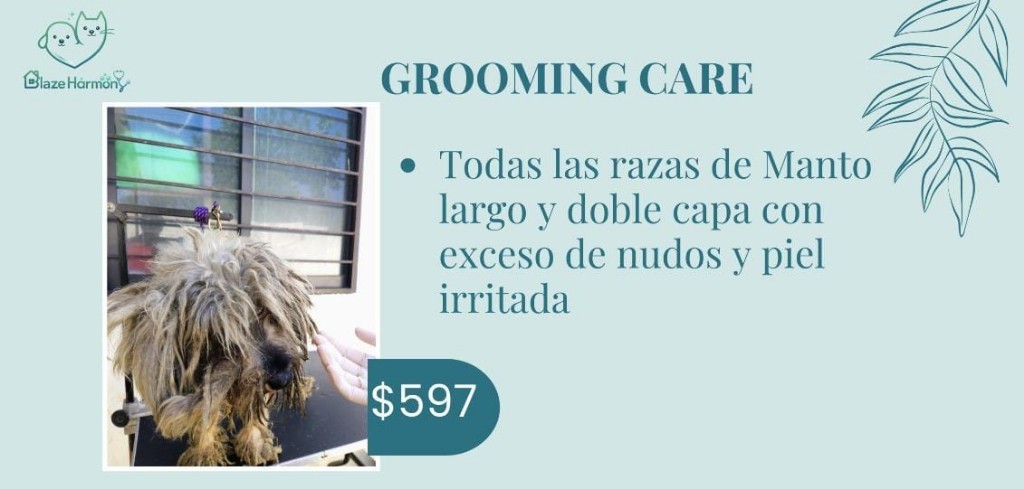 Grooming Care