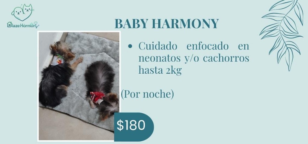 Baby Harmony (hasta 2kg)