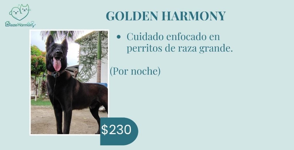 Golden Harmony