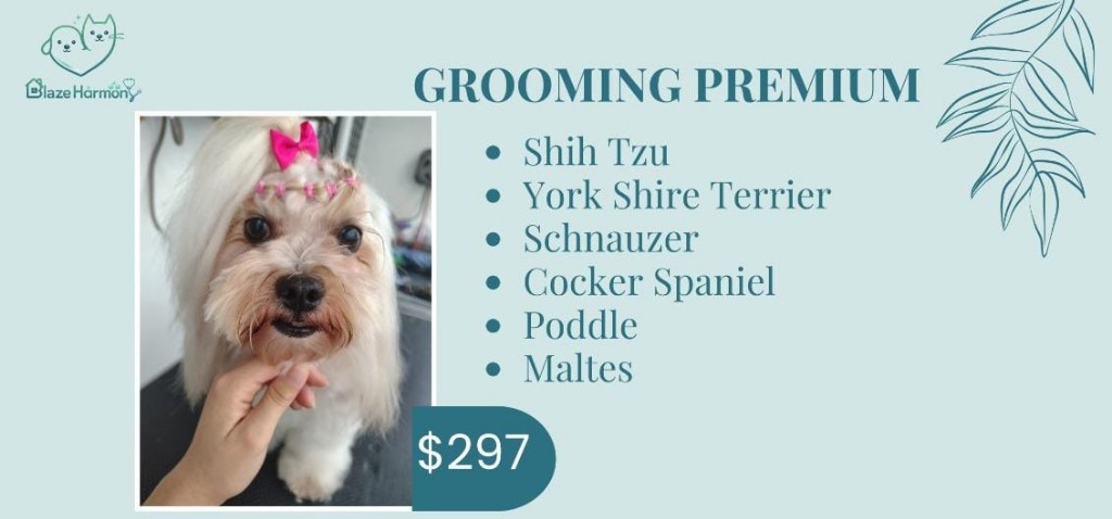 Grooming premium