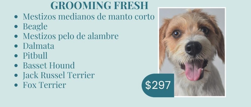 Grooming Fresh