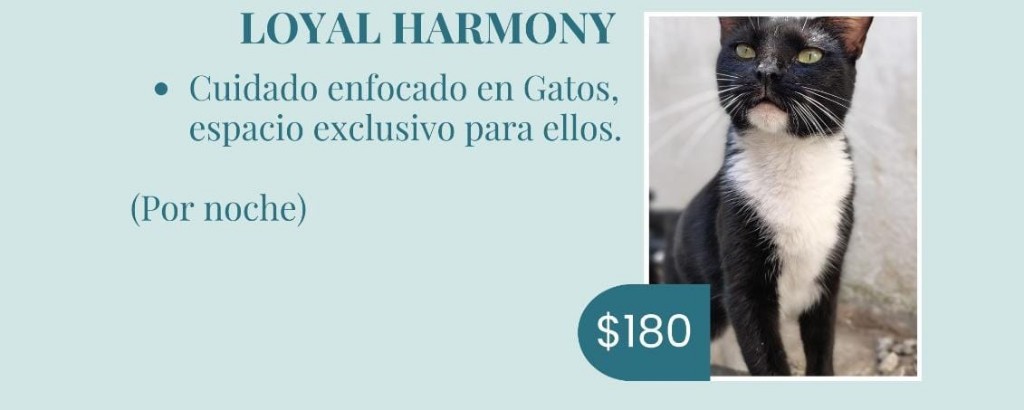 Loyal Harmony