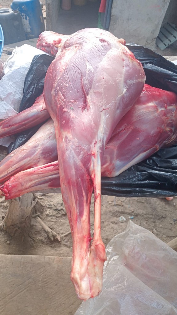 Venado para seco