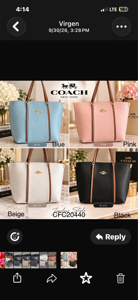 Cartera Coach azul Grande