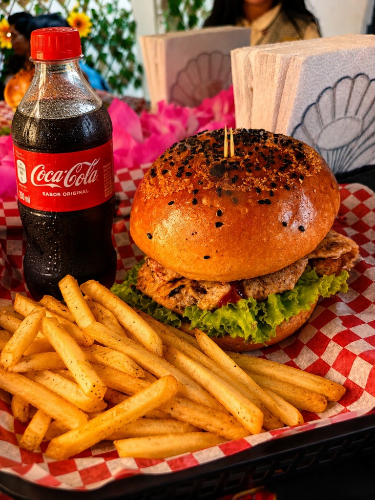 Hamburguesa sencilla combo