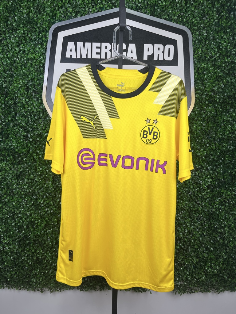 BORUSSIA DORTMUND