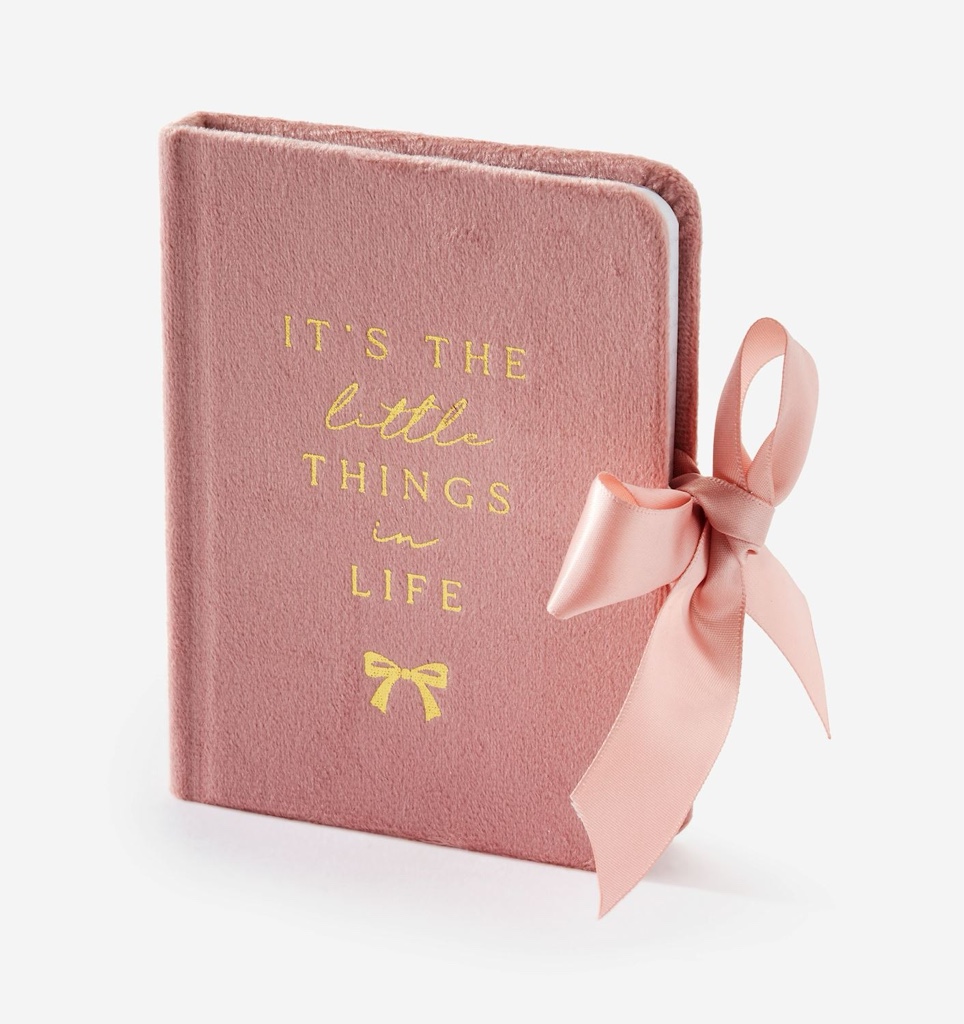 MINI JOURNAL ROSADO PANA