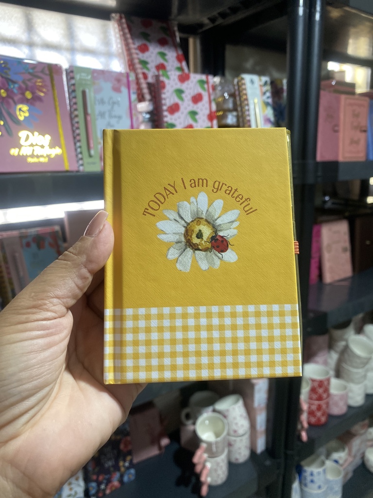 MINI JOURNAL AMARILLO CON LAPICERO