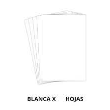 Cartulina Blanca X10
