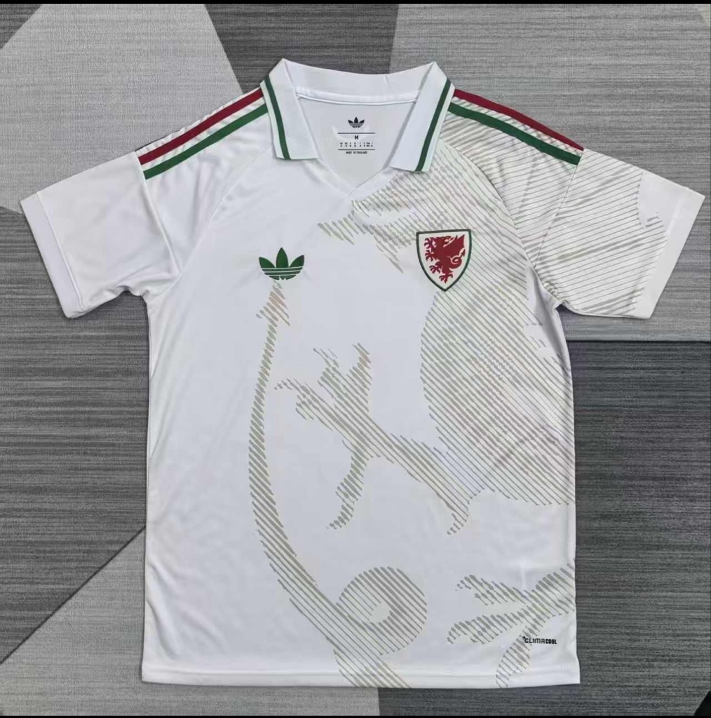 Jersey Gales Visita 2026 Versión Fan