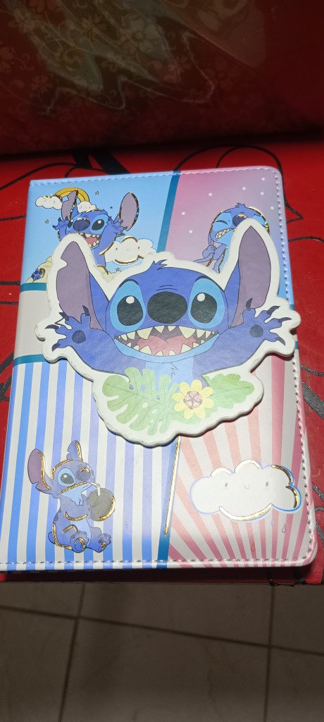 Cuaderno de Stich