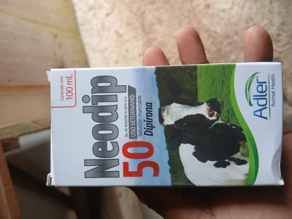 Dipirona 100 ml