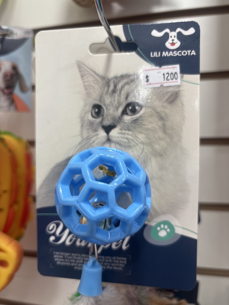 Lili Mascota pelota azul gato