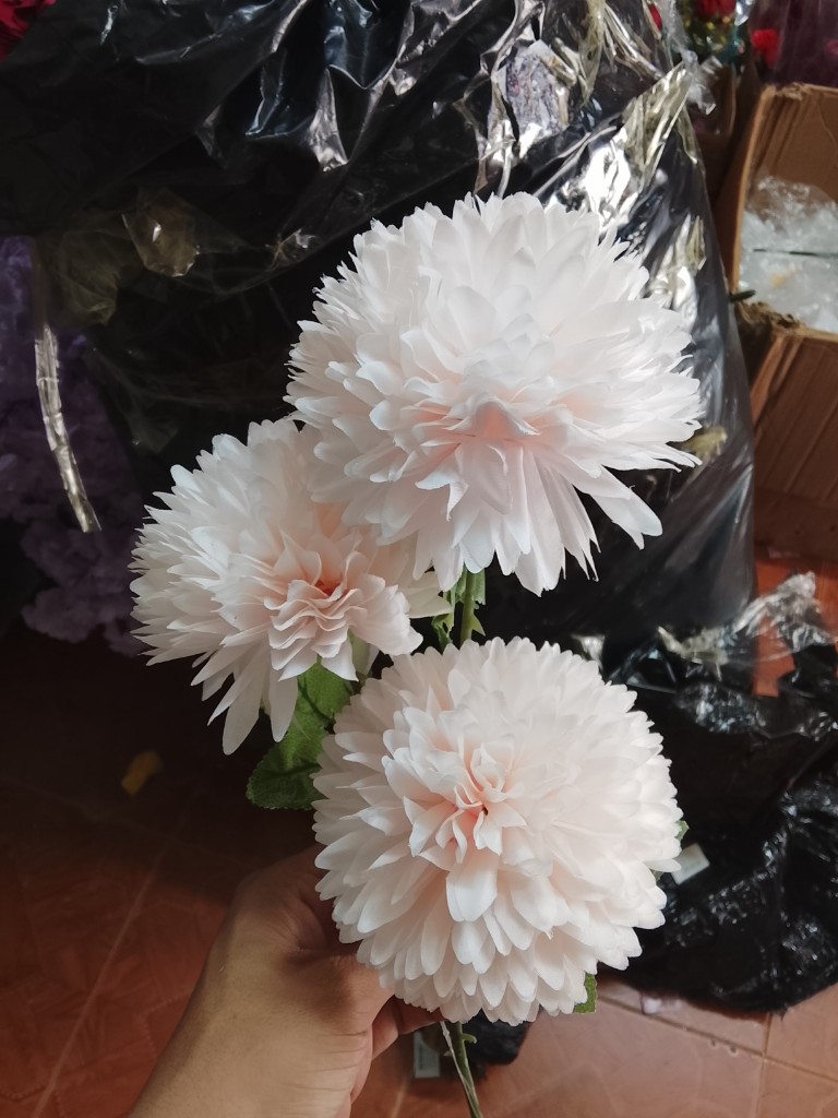Pom pones x3