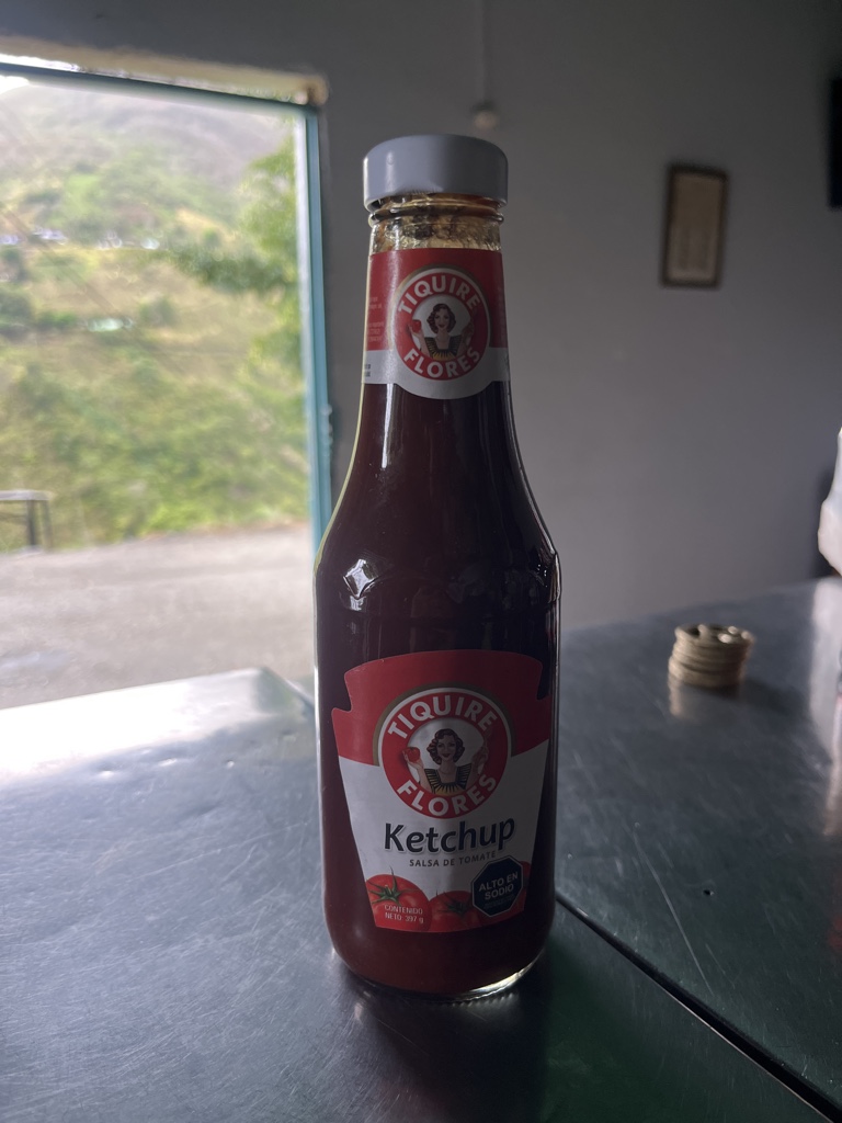 Tiquire Flores Ketchup