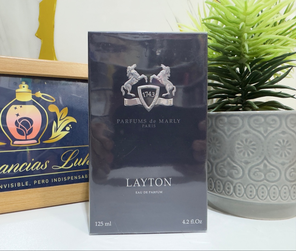 Layton Men 100ml EDP