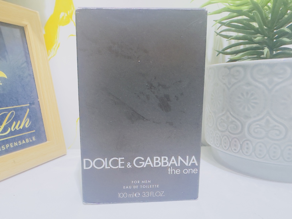 Dolce & Gabbana The One Men edt 100ml