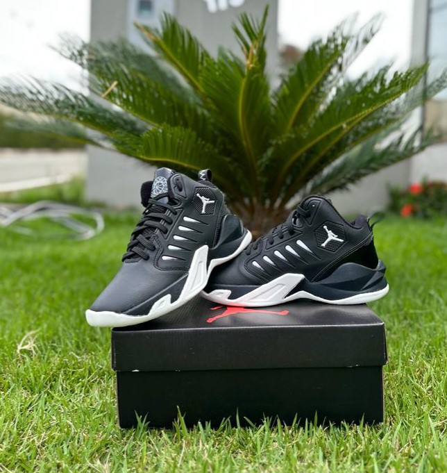 Air Jordan black and white