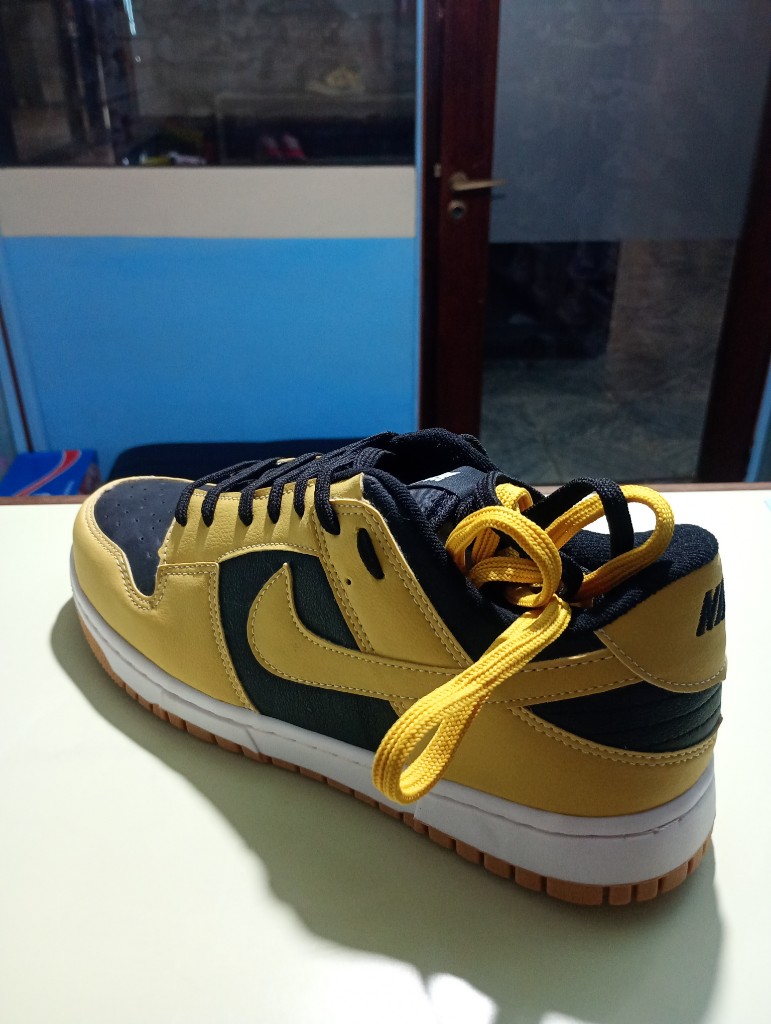 NIKE SB dunk low pro