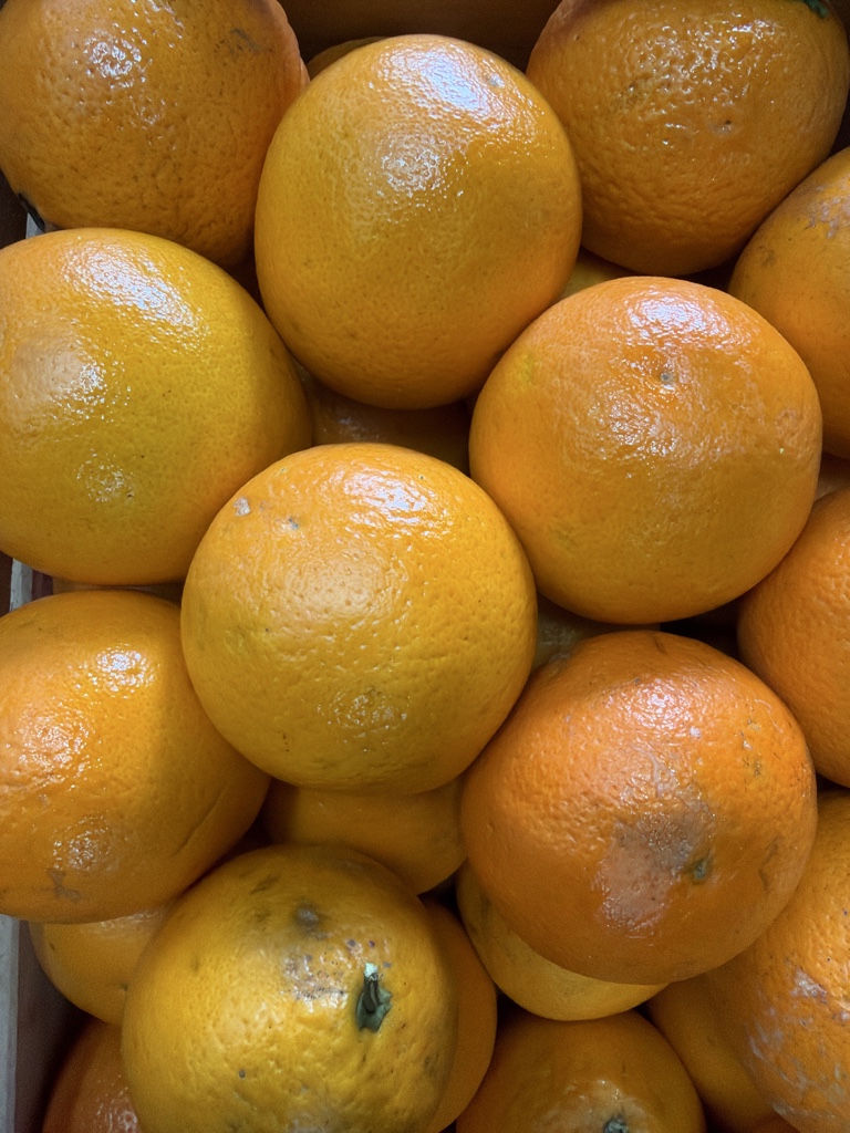 Naranja de jugo