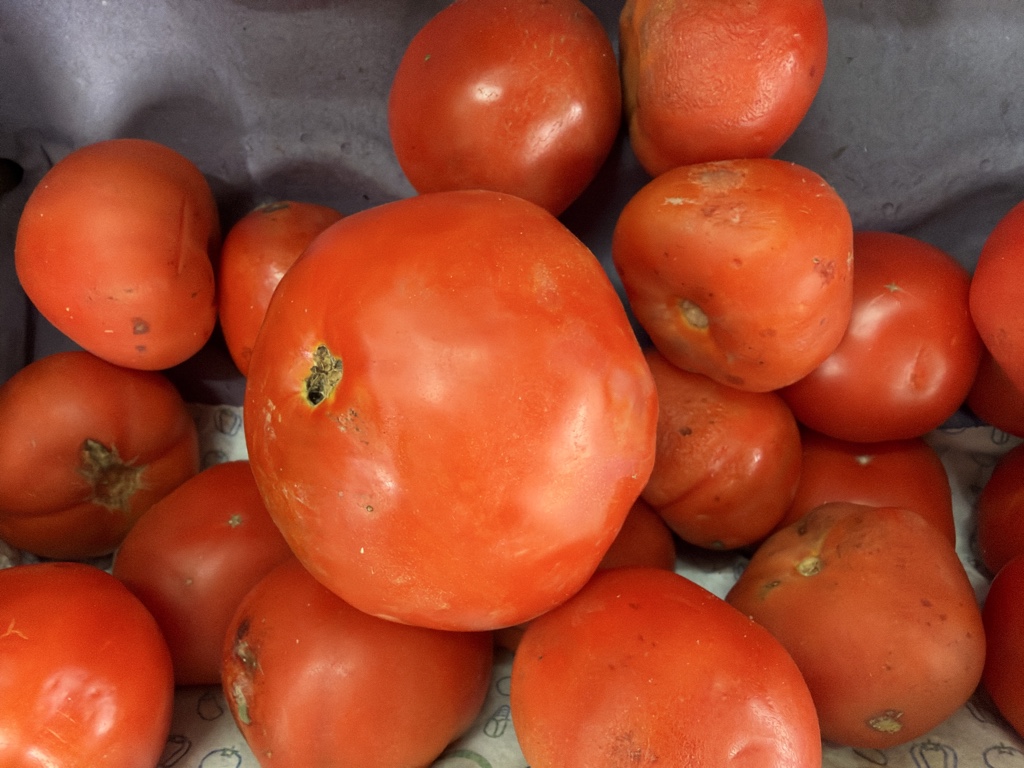 Tomate redondo