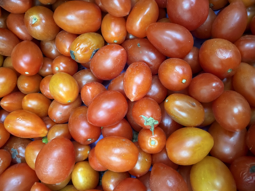Tomate cherry