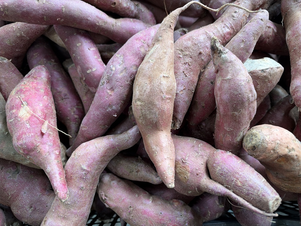 Batata