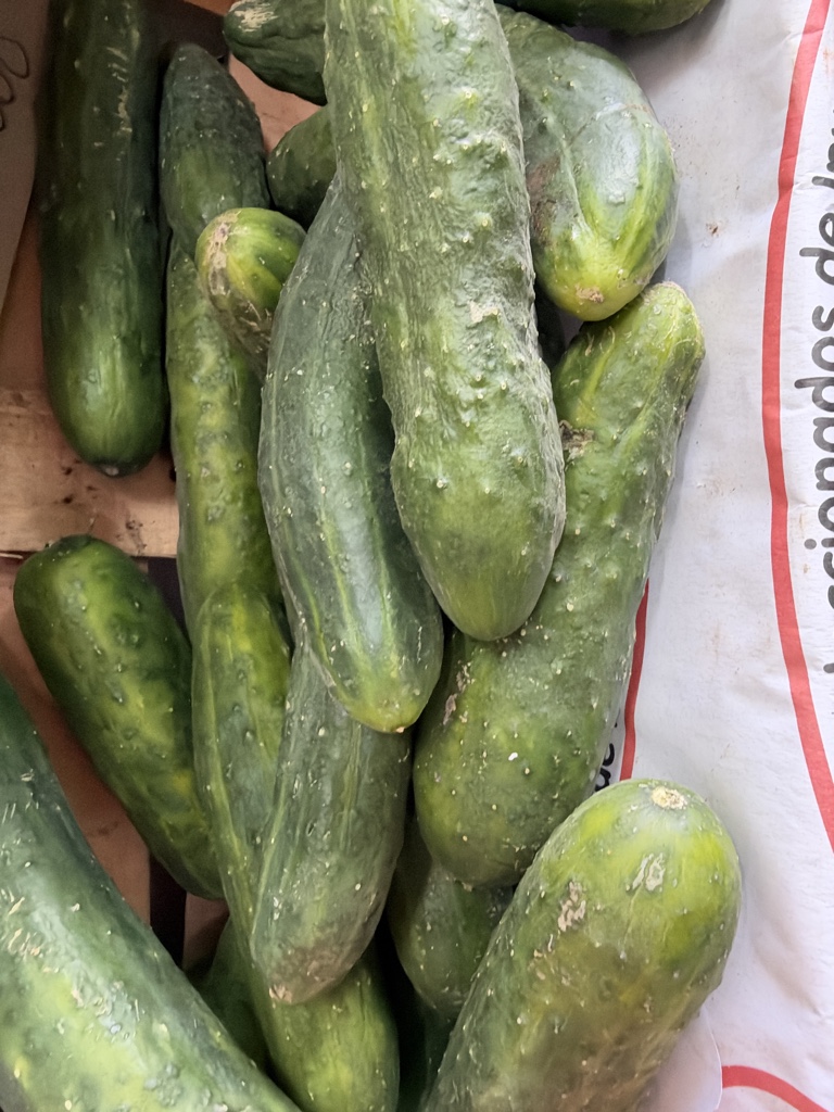 Pepino