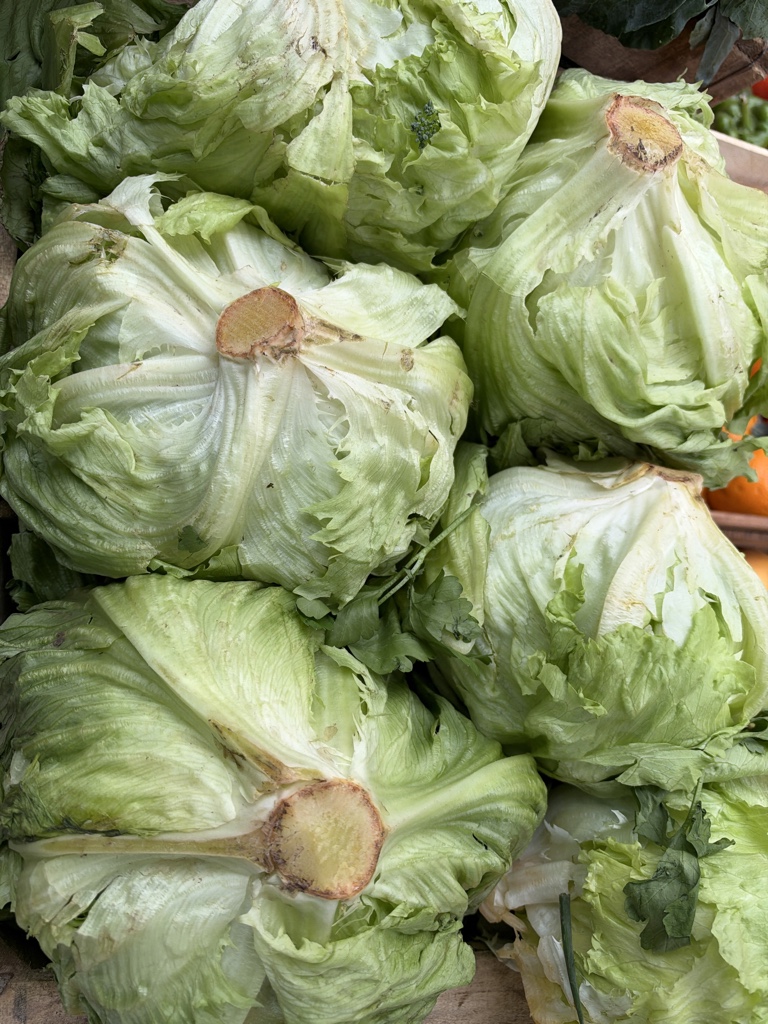 Lechuga capuchina