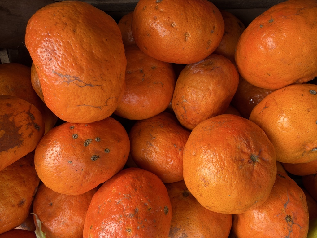 Mandarina Encoré