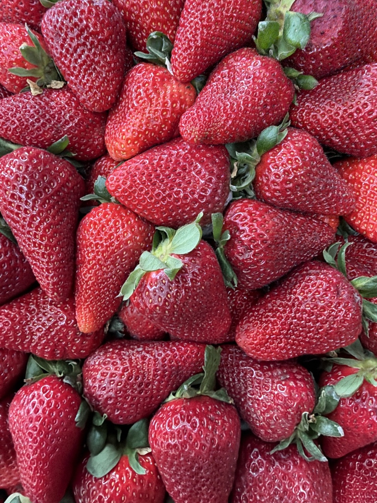 Frutilla