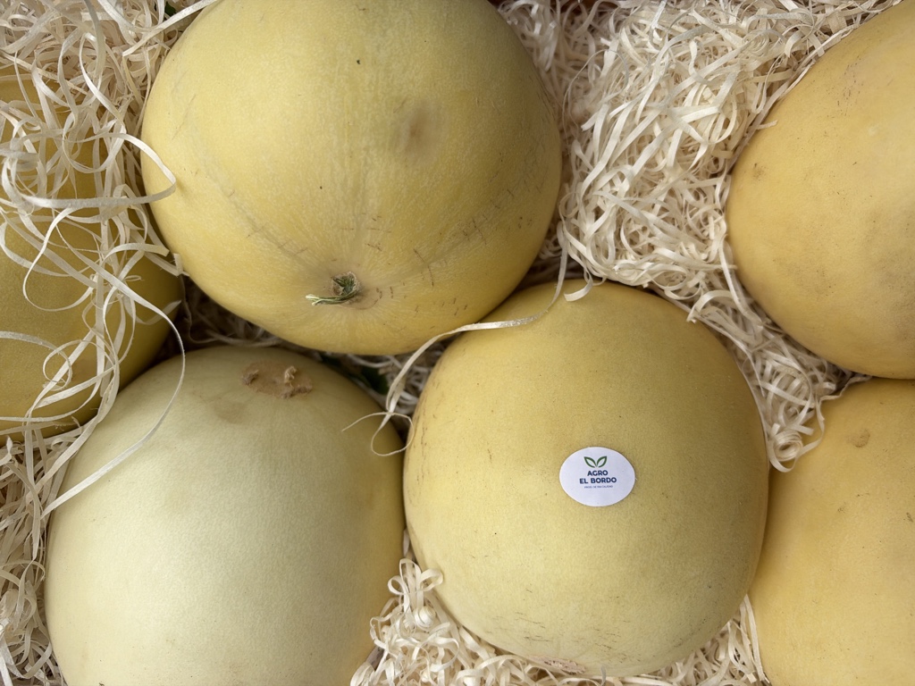 Melón blanco