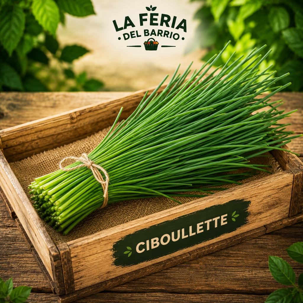 Ciboullette