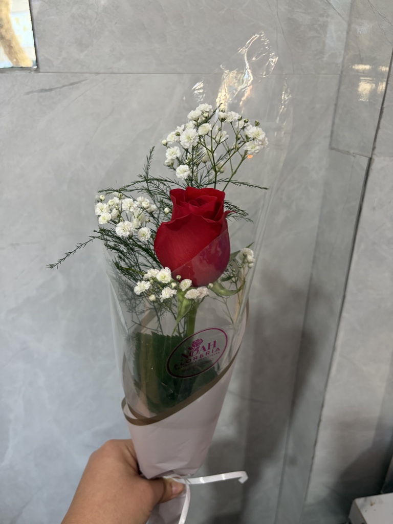 Rosa importada