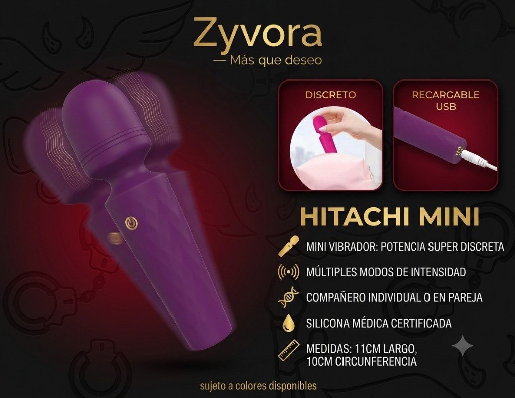 Hitachi Mini