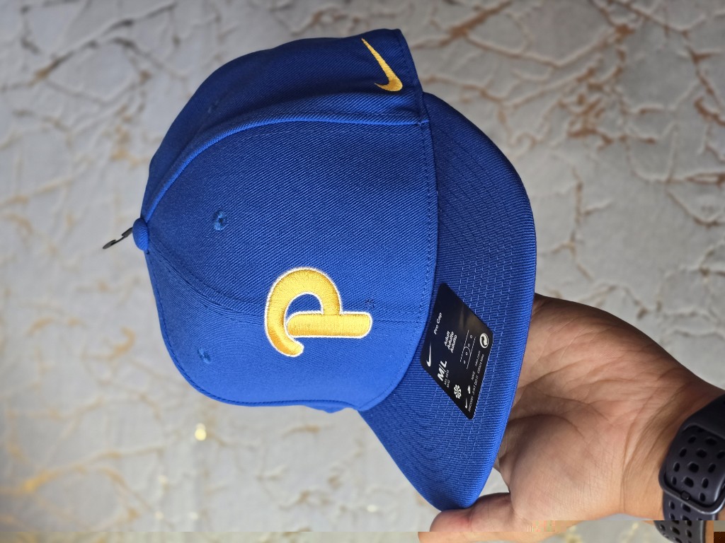 Nike Pro Pittsburgh panthers M/L