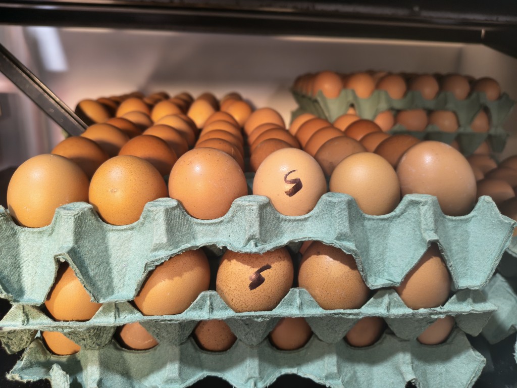Huevos Tipo S (tamaño grande)